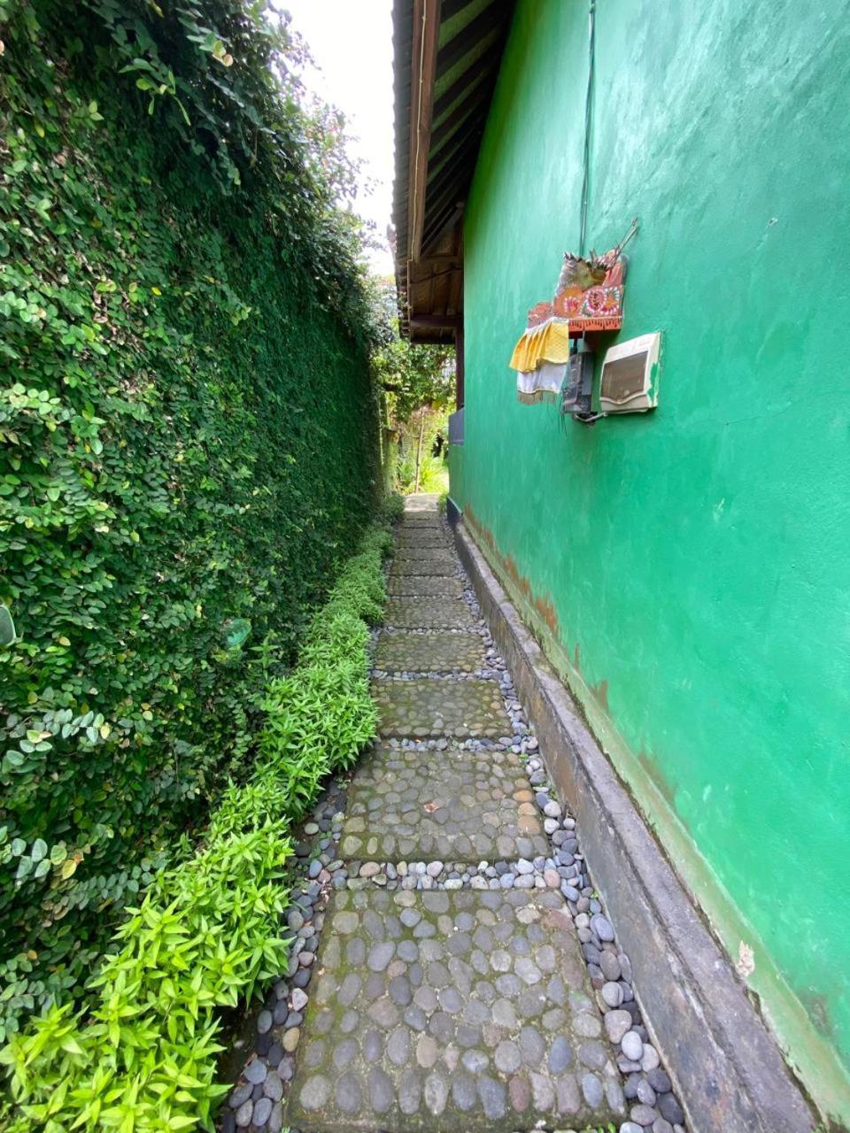 Pomelo Guest House 乌布 外观 照片