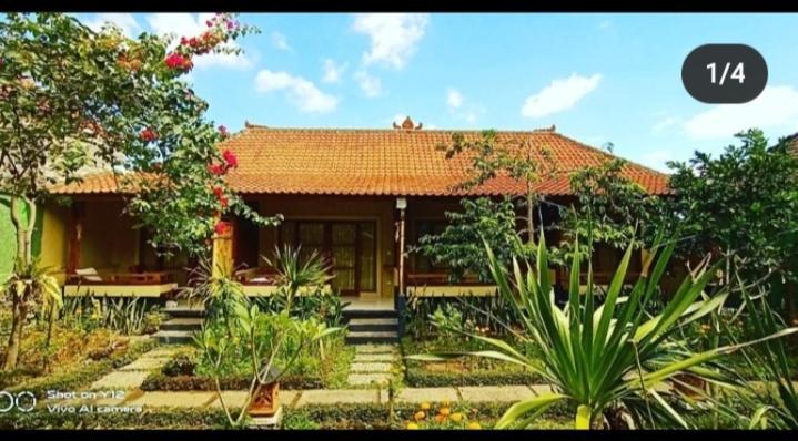 Pomelo Guest House 乌布 外观 照片