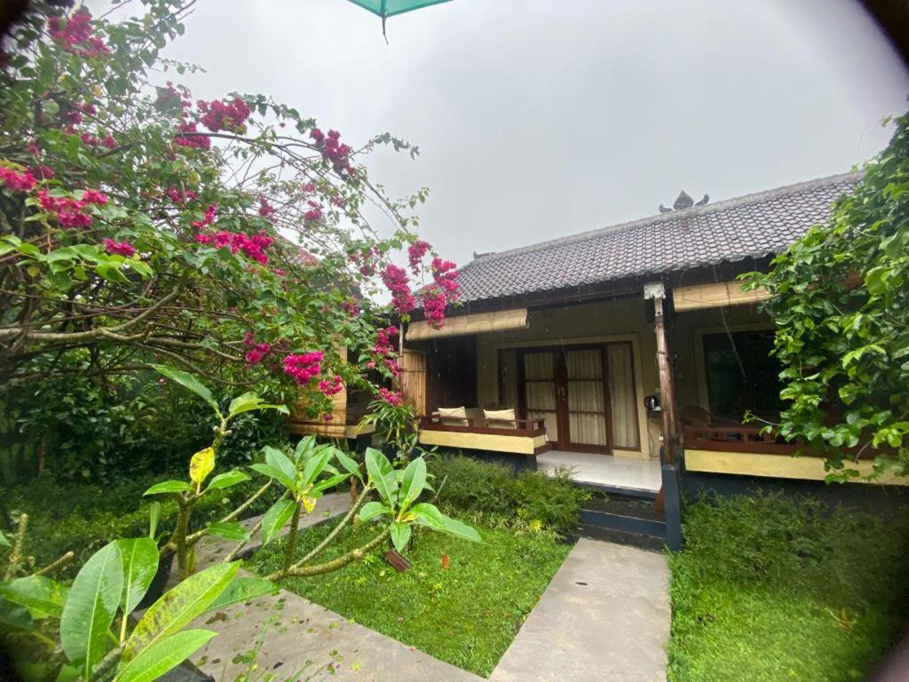 Pomelo Guest House 乌布 客房 照片